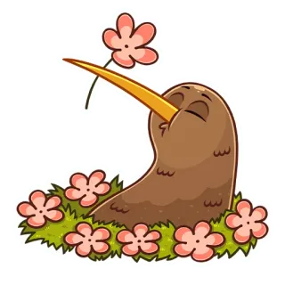 🌺 abd255f6 kiwi, chim, hoa, dễ thương, động vật, thiên nhiên, mùa xuân telegram sticker