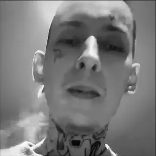 😎 10211899 telegram sticker