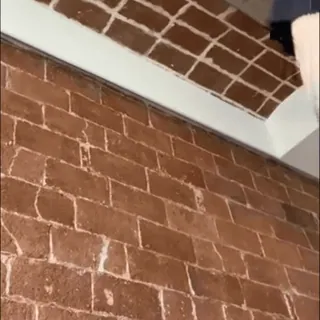 😳 143864bf whatsapp sticker