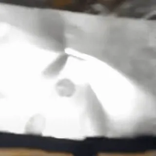 🐹 08ac1ea0 telegram sticker