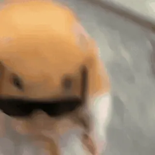 🐹 10fdc70e hamster, zonnebril, cool, dier, huisdier, knaagdier telegram sticker