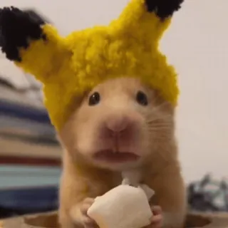 🐹 84124a39 hamster, huisdier, schattig, dier, knaagdier telegram sticker