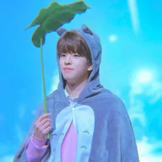 ⌇ ` ᥉ᥱᥙᥒg꧑ιᥒ 🐱🍣 @softren telegram stickers