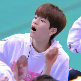 🐱 ddf770dd whatsapp sticker