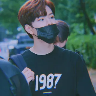 🐱 e257b479 1987 whatsapp sticker