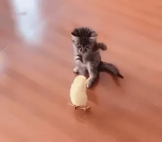 ☆彡@hqnerv ^_−☆ telegram stickers