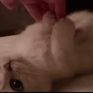 ☆彡@hqnerv ^_−☆ whatsapp stickers