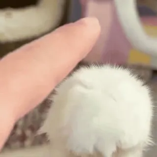 🌟 0e70f16a telegram sticker