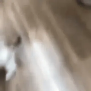 😼 97916438 telegram sticker