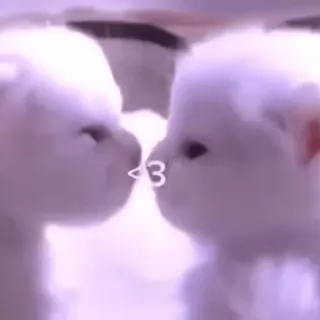 ☆彡@hqnerv ^_−☆ telegram stickers