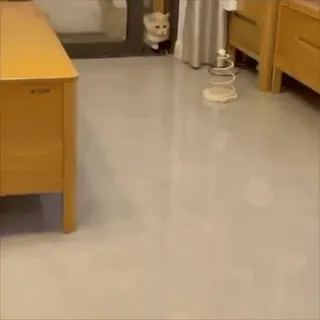 ☆彡@hqnerv ^_−☆ whatsapp stickers