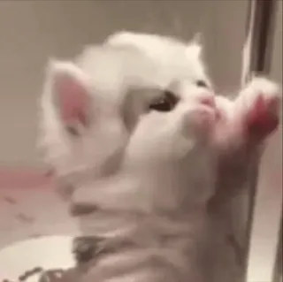 ☆彡@hqnerv ^_−☆ telegram stickers