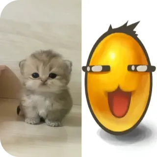 🐱 064373e4 小猫, 猫, 可爱, 表情符号, 搞笑, 梗 whatsapp sticker