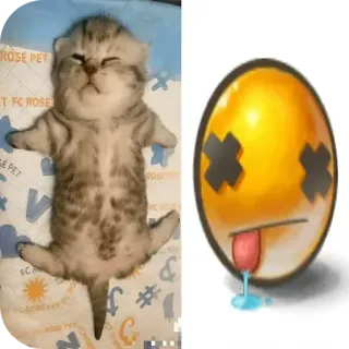 🐱 48c277e3 猫, 小猫, 睡觉, 表情符号, 死亡, 卡通 whatsapp sticker