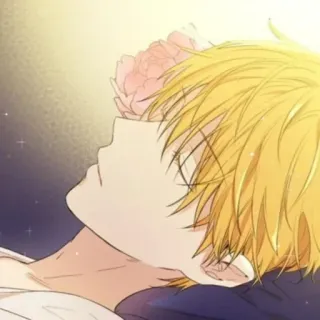 🌟 dba1a5be telegram sticker