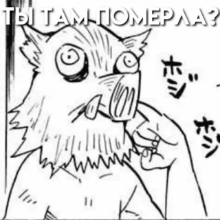 🤨 101a97bc Inosuke Hashibira Demon Slayer ТЫ ТАМ ПОМЕРЛА? Anime, Demon Slayer, Inosuke, Grappig, Manga, Personage, Cartoon telegram sticker