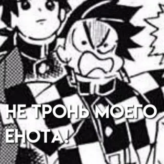 😡 243ee130 НЕ ТРОНЬ МОЕГО ЕНОТА! wasbeer, cartoon, tekst, russisch, meme telegram sticker