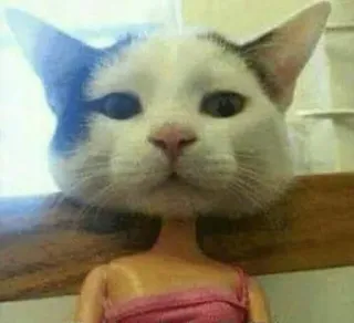 😶 dcdf04b3 gatto, bambola, divertente, animale, umorismo telegram sticker