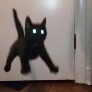 🐱 877068fe mèo, mèo đen, động vật, dễ thương, thú cưng telegram sticker