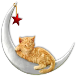 😴 f6fef95c 猫, 月亮, 星星, 睡觉, 梦, 小猫, 可爱 telegram sticker