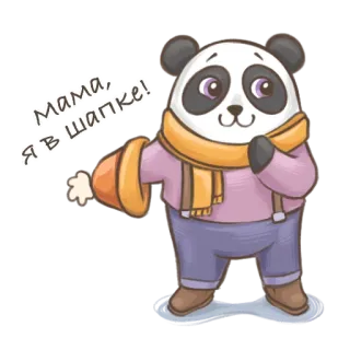🐼 767587b7 мама, я в шапке! panda, hat, scarf, cartoon, cute whatsapp sticker