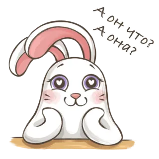 🐰 a60c3483 А он что? А она? bunny, cute, rabbit, animal, sticker whatsapp sticker