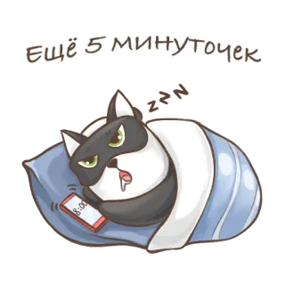 🐱 e375a438 Ещё 5 минуточек cat, sleepy, tired, alarm clock, cartoon, animal whatsapp sticker