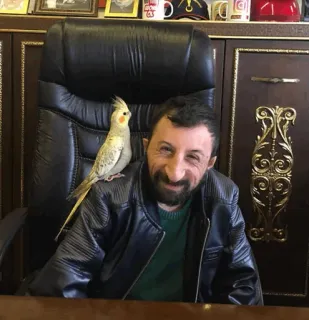 😁 ec7a50d1 whatsapp sticker