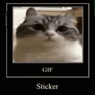 🥱 12875121 GIF
Sticker mèo, sticker, gif, meme, vui nhộn telegram sticker