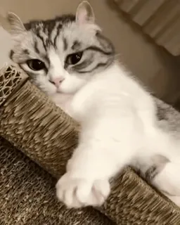 @KomaruLove - Pack One 💖 telegram stickers