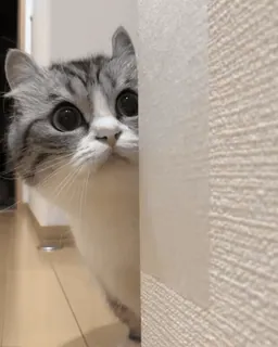 @KomaruLove - Pack One 💖 telegram stickers