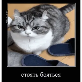 KomaruBest#2 @d1ret whatsapp stickers