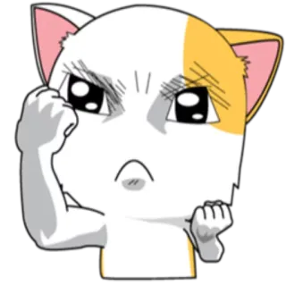 😠 efe16064 gato, enojado, frustrado, dibujos animados, animal telegram sticker