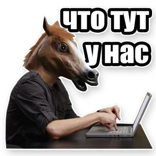 Кони telegram stickers
