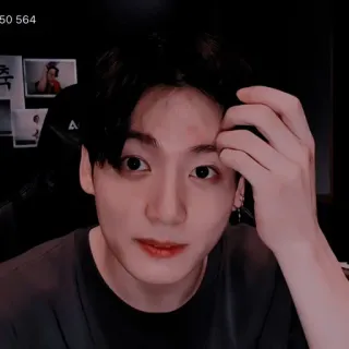 🎡 545c22f1 telegram sticker