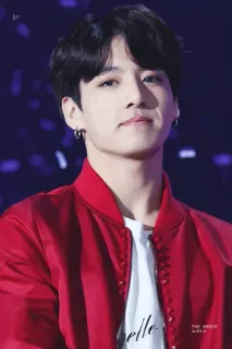 🐰 8a49f861 HELLO uomo, ritratto, k-pop, ciao, giacca rossa telegram sticker