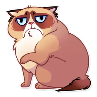 ☹ 5ccc7429 Grumpy Cat gatto scontroso, gatto, meme, animale, carino, adesivo telegram sticker