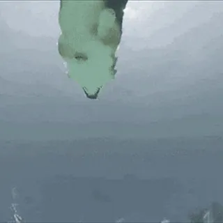 🏊 c922f0f9 telegram sticker