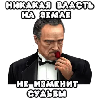 🤒 78dc0f62 Don Corleone The Godfather НИКАКАЯ ВЛАСТЬ
НА ЗЕМЛЕ
НЕ ИЗМЕНИТ
СУДЬБЫ Mafia, Der Pate, Don Corleone, Rose, Russisch, Text telegram sticker