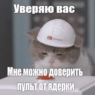 кошачий расколбас. @k0shbss telegram stickers