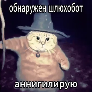 🚫 31ef2234 обнаружен шлюхобот
аннигилирую Katze, Zauberer, Russisch, Meme, Lustig, Beleidigend whatsapp sticker