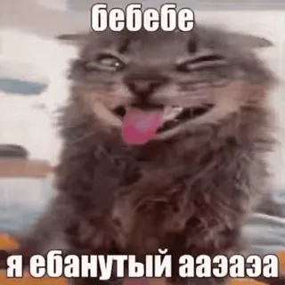 🧠 fdd81ce6 бебебе
Я ебанутый ааазаза Katze, Meme, Tier, Lustig, Russisch whatsapp sticker
