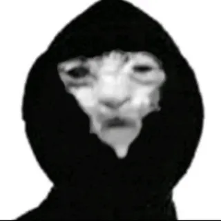 💀 6bf33ae0 猫, フード, ミーム, 動物 telegram sticker