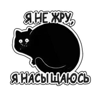 🍴 6d1daa6b Я НЕ ЖРУ, Я НАСЫЩАЮСЬ kot, czarny kot, śmieszne, rosyjski, naklejka, mem, słodki, zwierzę telegram sticker