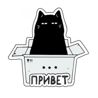 ✌ b80ab960 ПРИВЕТ kot, pudełko, czarny kot, powitanie, rosyjski, naklejka telegram sticker