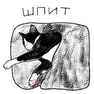 😴 048294a8 шпит gato, dormindo, russo, animal, animal de estimação whatsapp sticker