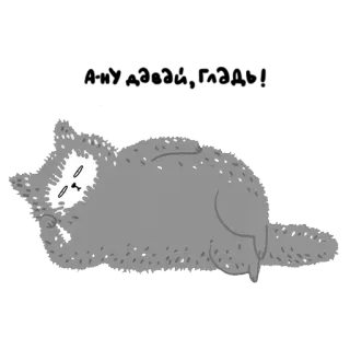 🤠 01a28d5a MEH! แมว, งั้นๆ, สติกเกอร์, สีเทา, สัตว์, ขี้เกียจ, น่ารัก telegram sticker