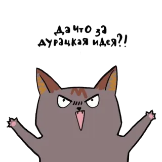 😫 4d65c6f2 Да что за дурацкая идея?! แมว, โกรธ, รัสเซีย, การ์ตูน, สติกเกอร์ telegram sticker