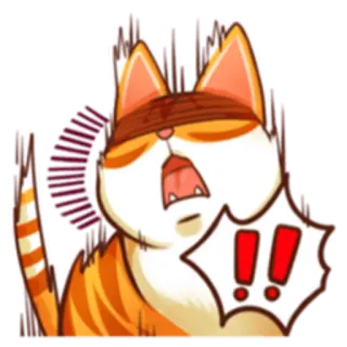 Кот Budweiser @StikerDi telegram stickers