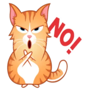 😞 5538f820 NO! gatto, no, negazione, arrabbiato, espressione whatsapp sticker